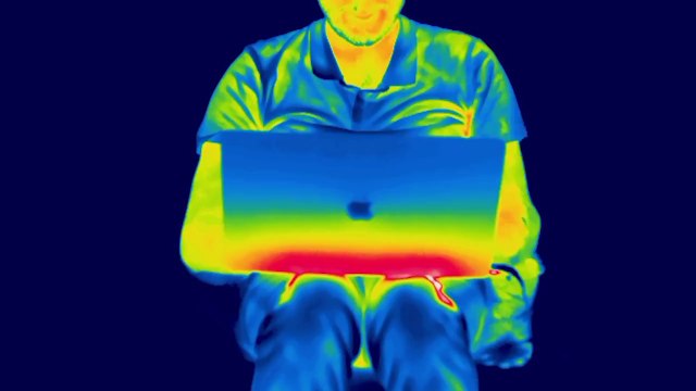 La vie vue d'une caméra thermique