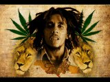 Bob Marley - Iron Lion Zion Karaoke