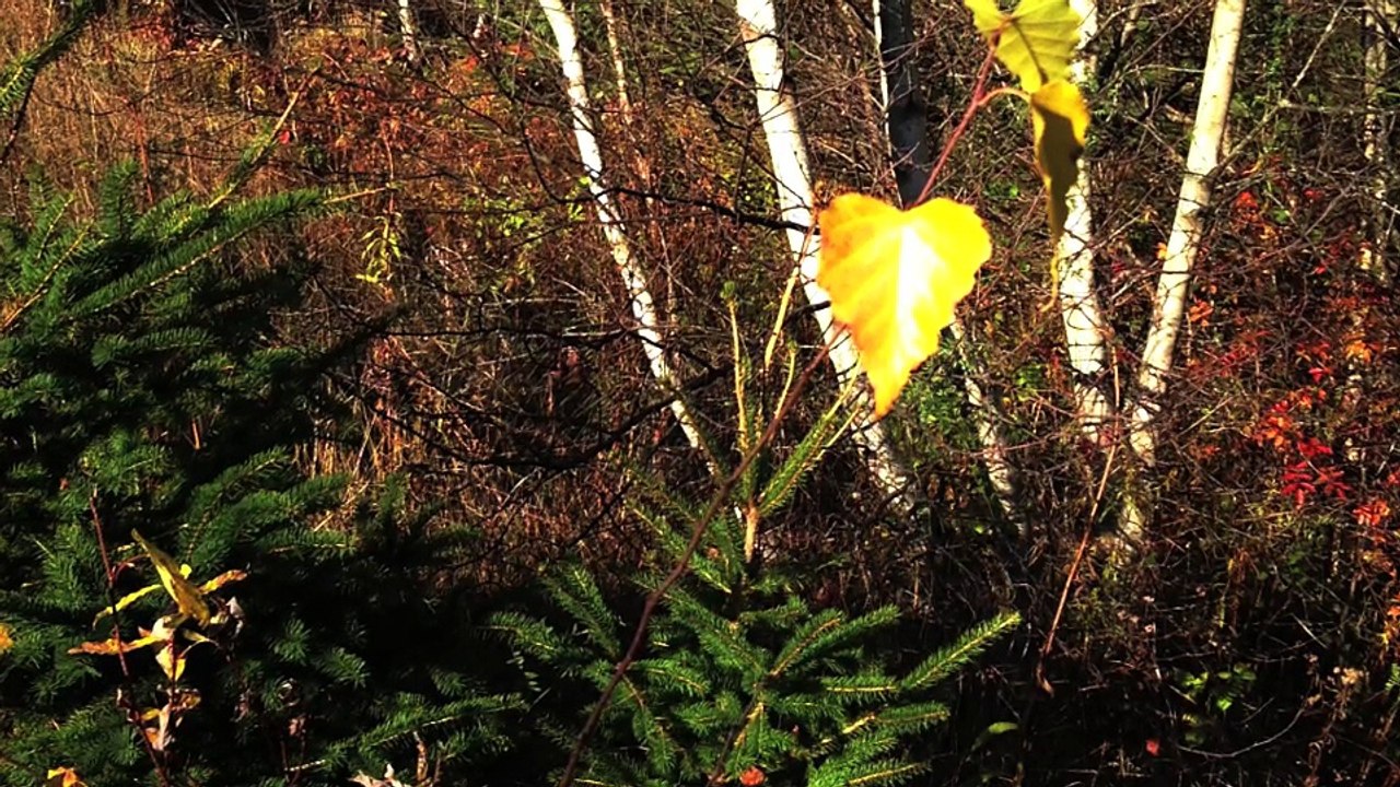 against my time by michael hermiston (original)