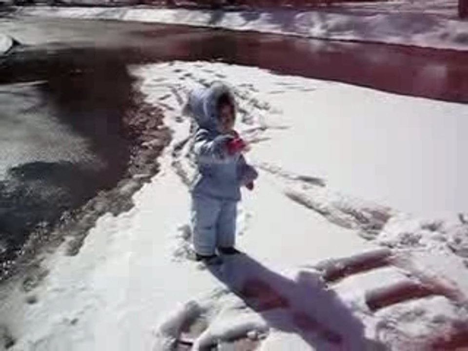 the snowy day