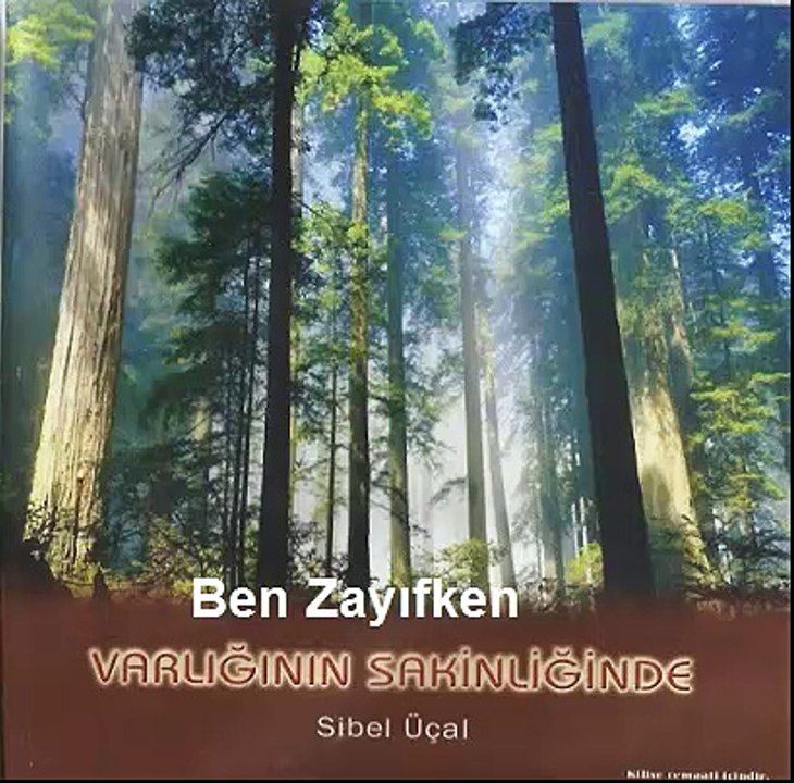 Ben Zayıfken