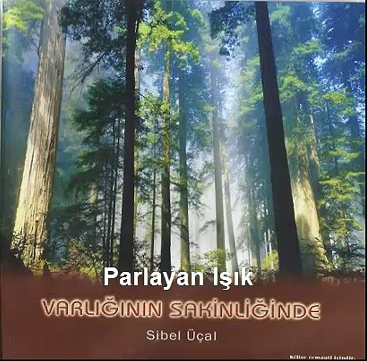Parlayan Işık