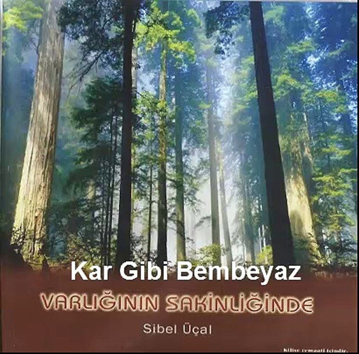 Kar Gibi Bembeyaz