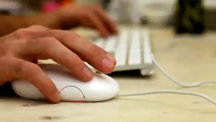 eVerify People Finder Background Checker