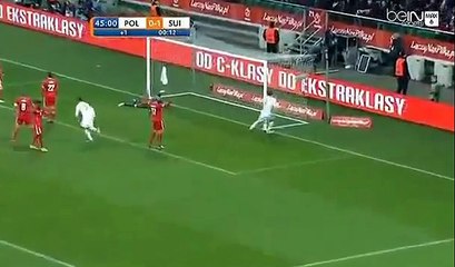 Artur Jędrzejczyk Goal & Epic Celebration - Poland vs Switzerland 1-1 (Friendly Match) 2014