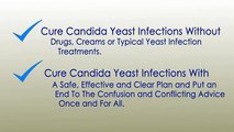 Yeast Infection No More   Best Yeast Infection Treatment