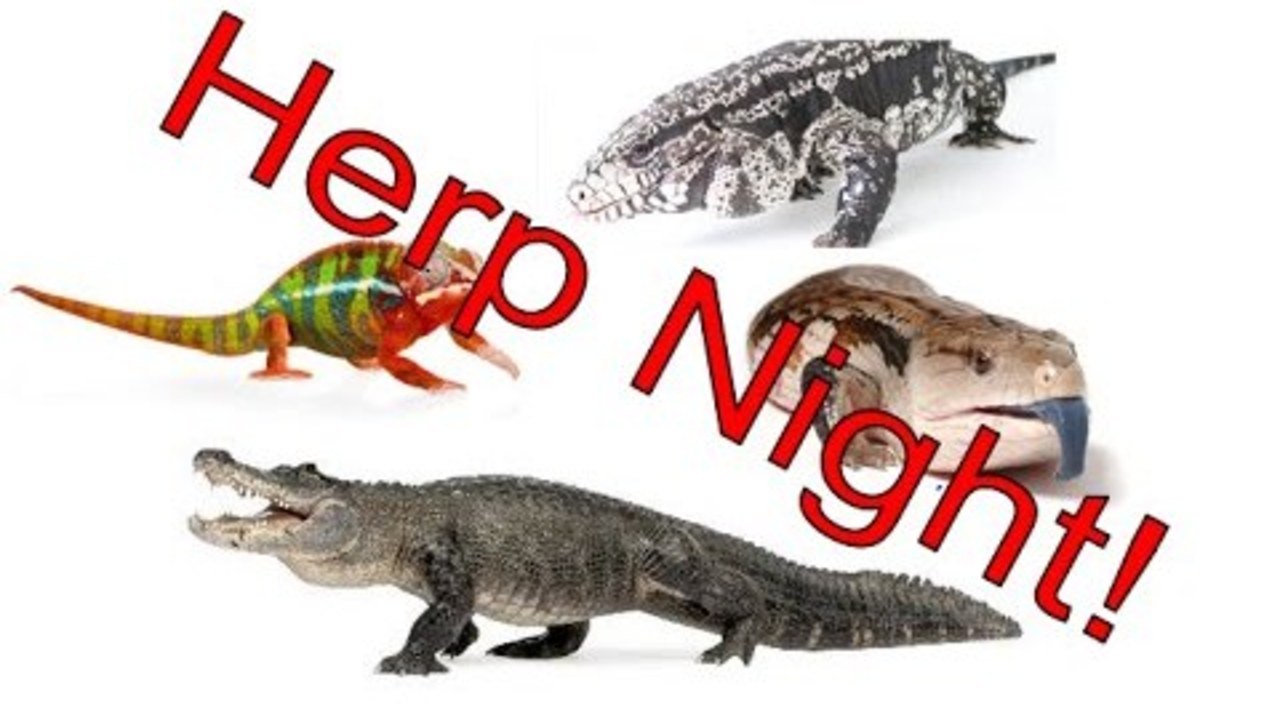 Herp Night!