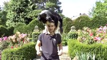 Hund auf dem Rücken balancieren - Tutorial - Clickertraining - Hunde Tricks beibringen