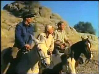 Hunting of leopard by dog