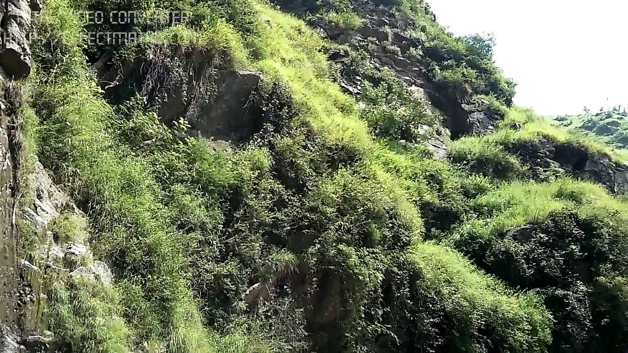 tour video shangla irfan inam and asim 3 - video Dailymotion