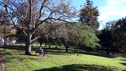 Trip Auckland Christchurch