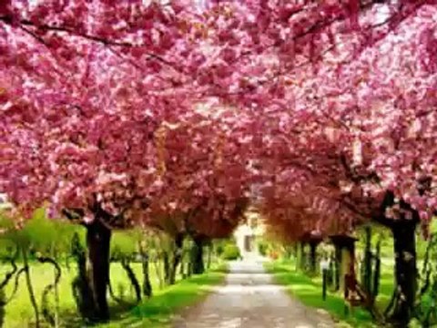 mixail boqrskij (mikhail boyarsky) spasibo rodnaq - thank you dear - михаил боярский - спасибо родная