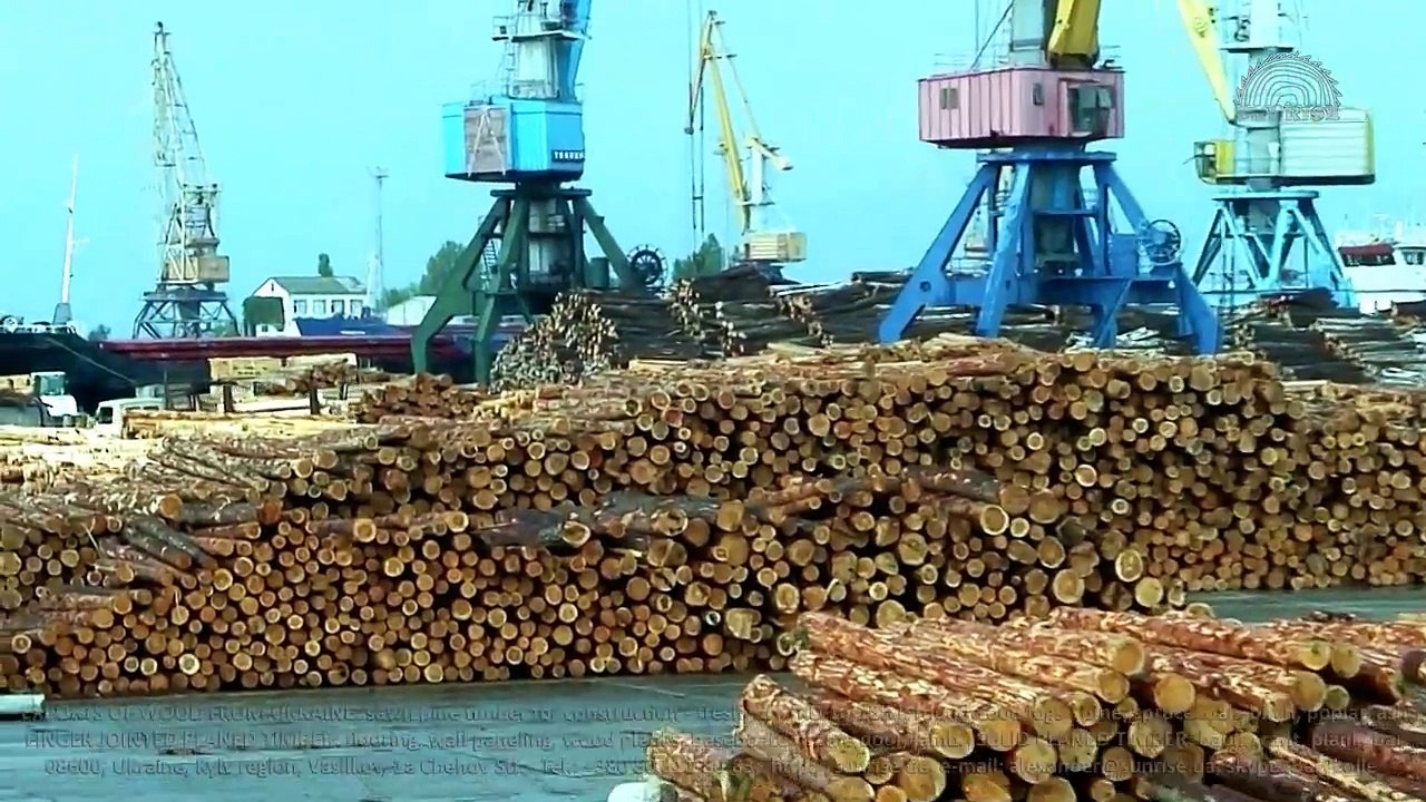 Exports of roundwood logs from Ukraine - Belgorod-Dniester port. Supply to Turkey, Georgia, Greece, Italy