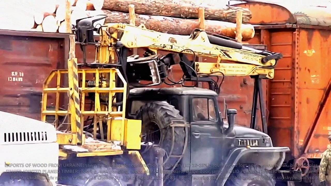 Unloading pine roundwood logs from railway wagons. Export (import) of wood from Ukraine. Supply to Middle East /