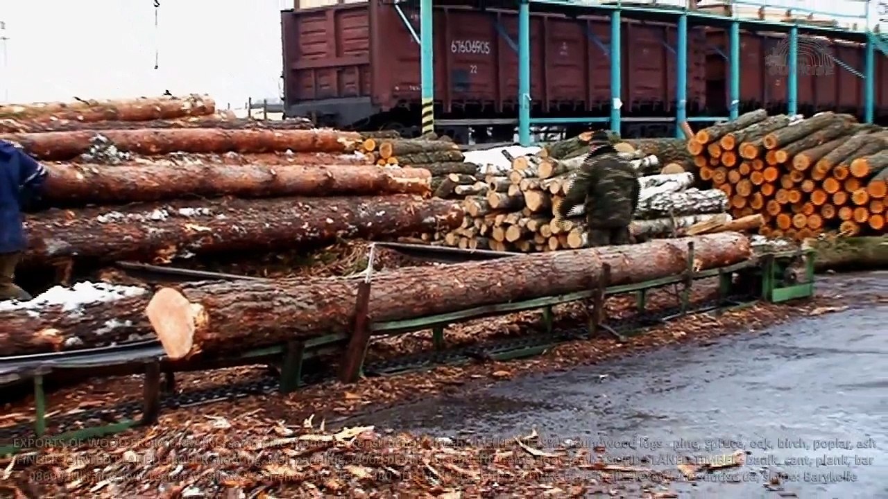 Debarking pine roundwood logs.Export (import) of wood from Ukraine. Supply to Middle East: Oman, Qatar