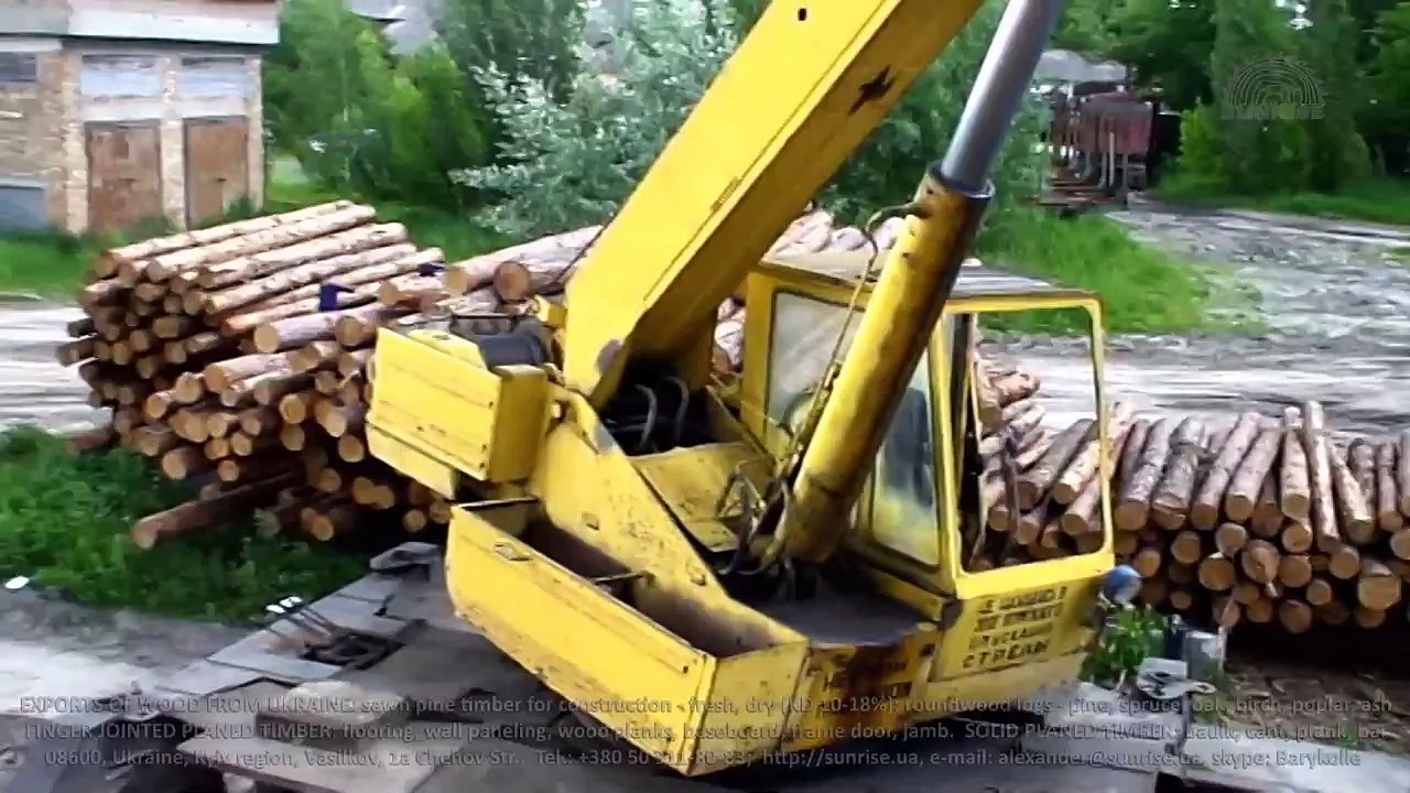 Exports (imports) pine roundwood logs Ukraine. Supplies Middle East: Iran, Iraq, Jordan, Kuwait, Oman, Yemen, Qatar, Kuwait. Supply to: China, Georgia, India