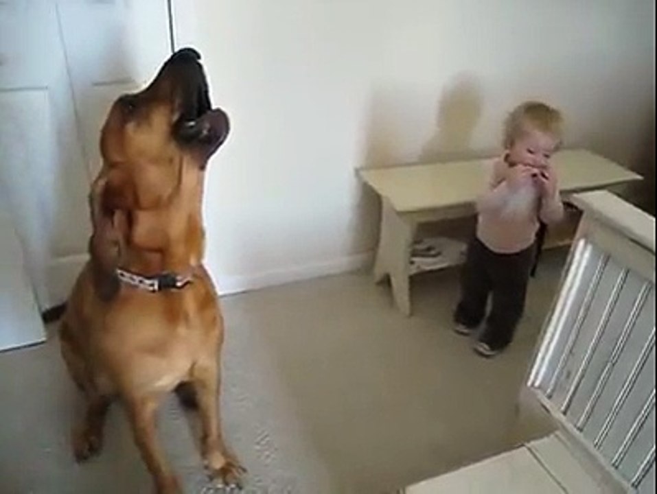 This video Will Make You A Smile…
