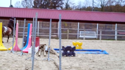 Color Printing a l'obstacle