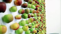 Le premier VRAI Apple Store ouvre à Londres!