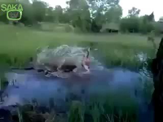 Rus Tarzanın Hazin Sonu