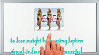 The Venus Factor How To Increase Leptin The Feel Full Hormone Venus Factor Diet