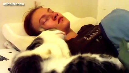 Des chiens et chats qui nous réveillent !