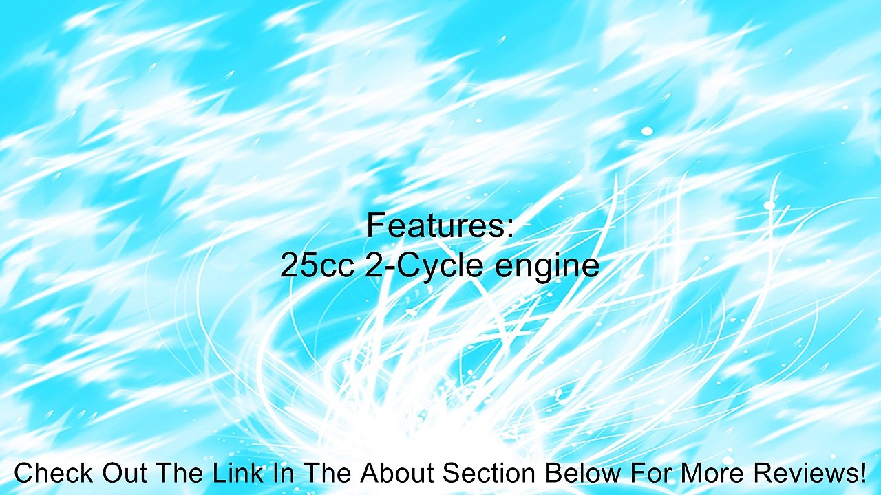 Weedeater W25SFK Straight Shaft Gas Trimmer, 25cc Review