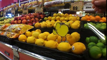 Este artista voltou a criar um universo animado com o seu iPhone