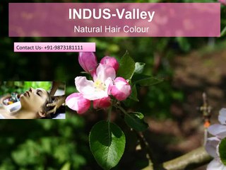 PPD Free Hair Colour