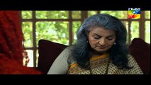 Shanakht Episode 14  Full 18th November 2014 Hum Tv