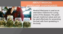 Learn about Medical Marijuana Dispensaries
