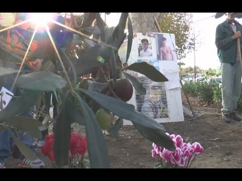 Napoli - Davide Bifolco, aiuola al Rione Traiano -1- (18.11.14)