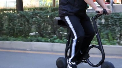 Le plus petit vélo électrique du monde