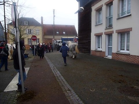 Grandvilliers : foire Sainte-Cécile