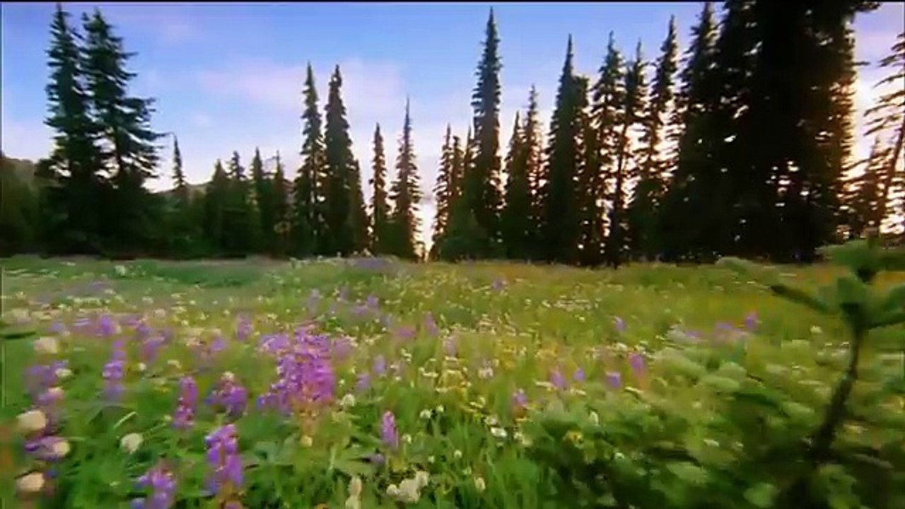 Wonderful coTraveling the World