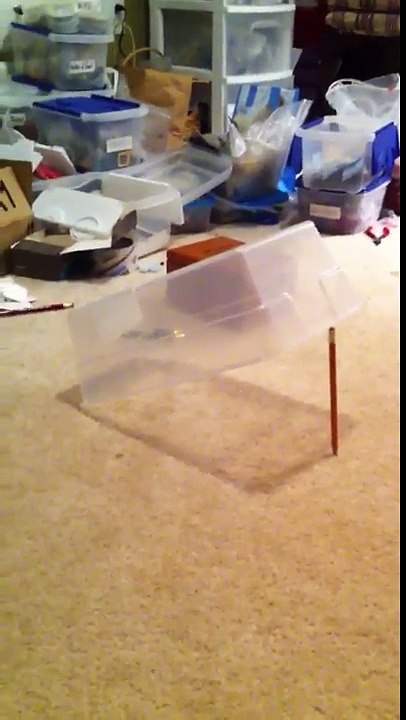 Chat VS Pointeur laser