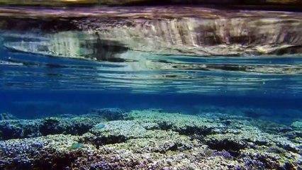 Relaxing Music underwater