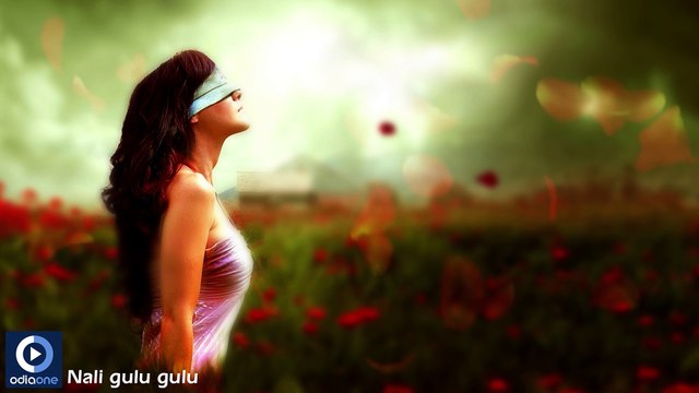 Oriya Romantic Album Alpa Bayasi Jhia | Nali Gulu Gulu | Oriya Latest Songs | Oriya Album