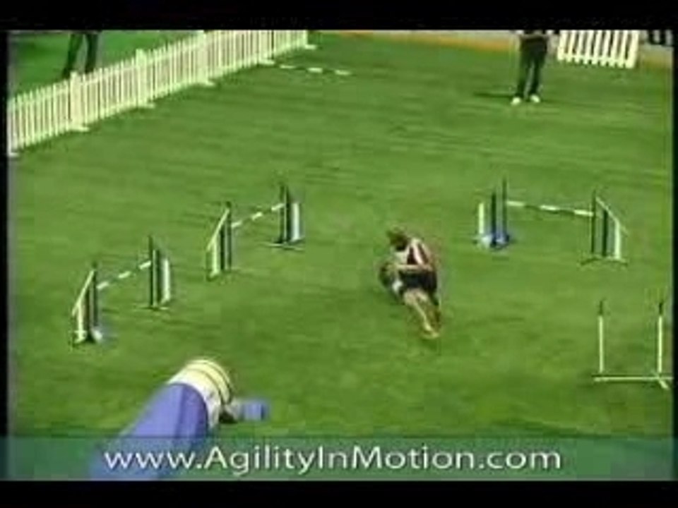 agility vice champion du monde 2006