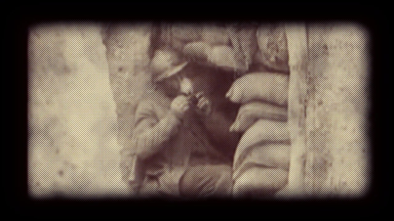 Charles de Lavaissiere Bio