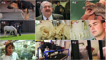 Faculté de Médecine Vétérinaire - Université de Liège