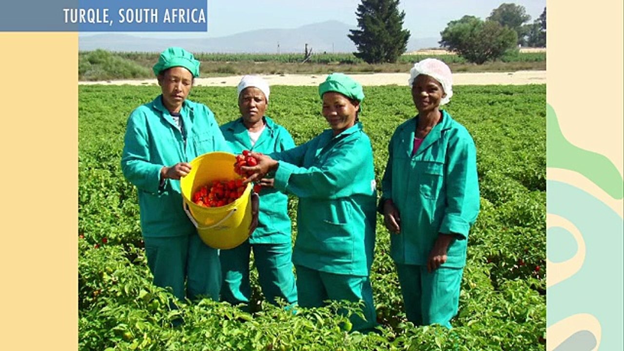 The fair trade universe