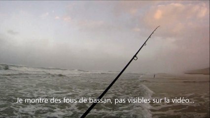 peche dans les baines - attaque d'un bar au bord !!