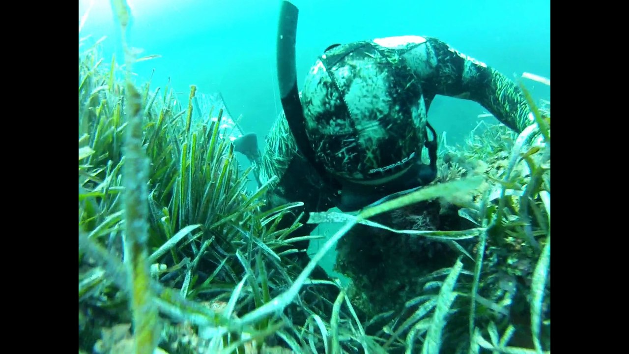 La passion plus forte que tout !!!