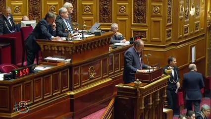 Proposition de la loi sur le volontariat : mon intervention au Sénat