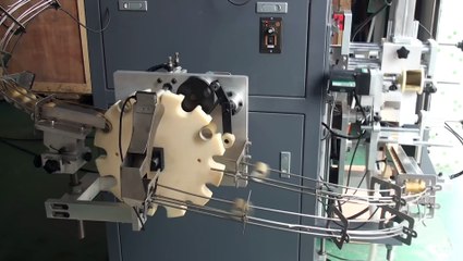 Automatic Hot Stamping Machine for Two Sides Opened Tube