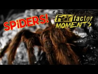 Fear Factor Moments | Blockhead