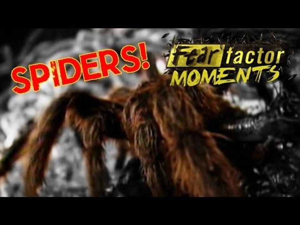 Fear Factor Moments | Blockhead