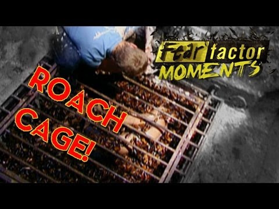 Fear Factor Moments | Roach Cage Escape