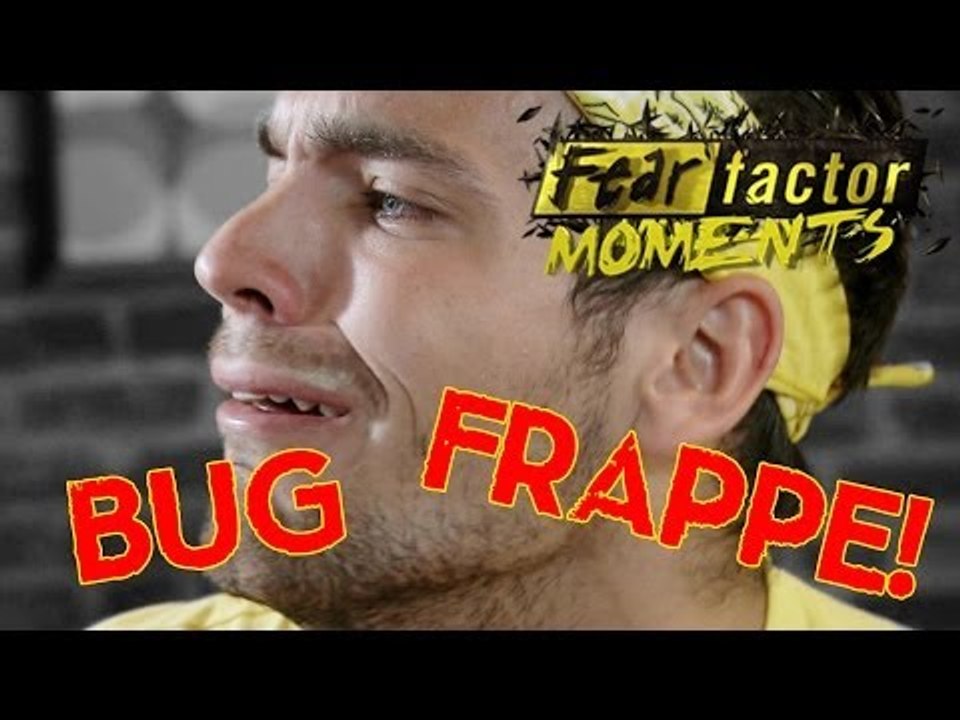 Fear Factor Moments | Stink Bug Fly Frappe